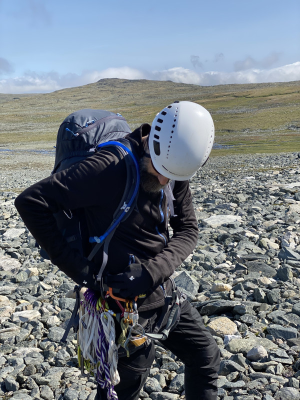 Lobsien i fj&auml;llen
